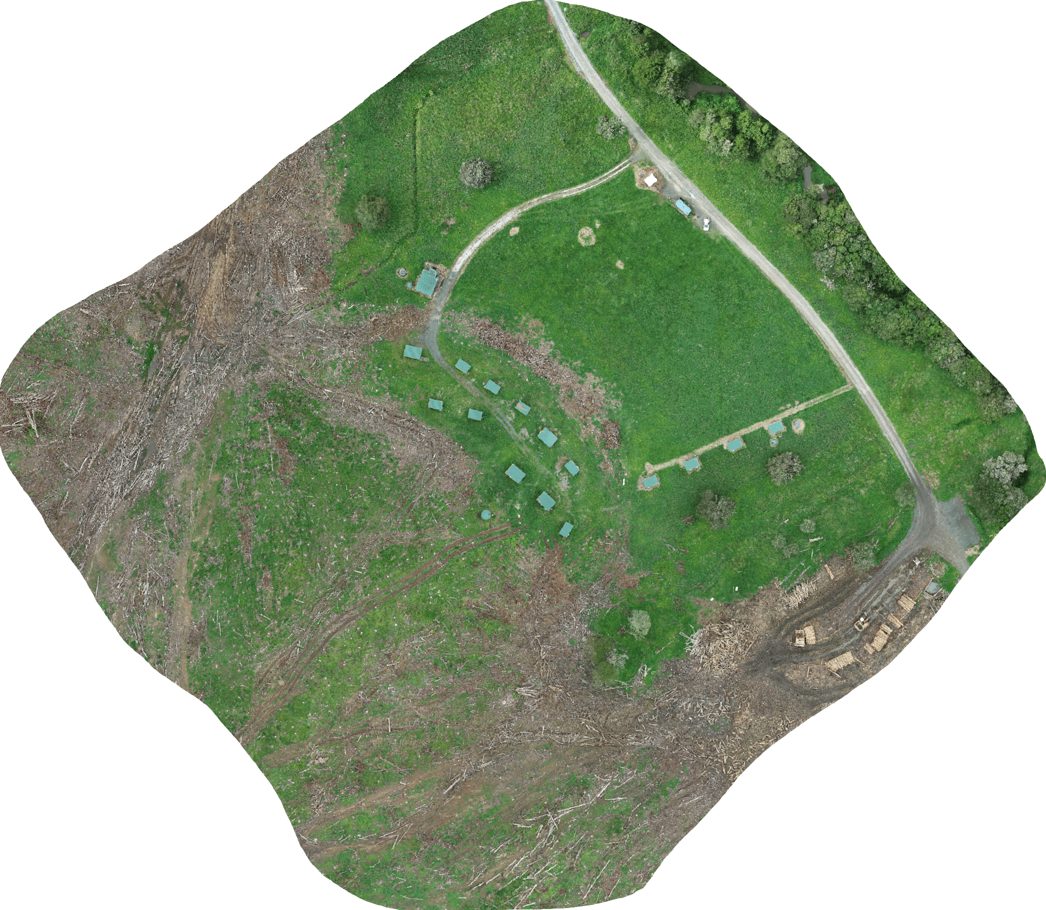 Digital Orthophoto Map